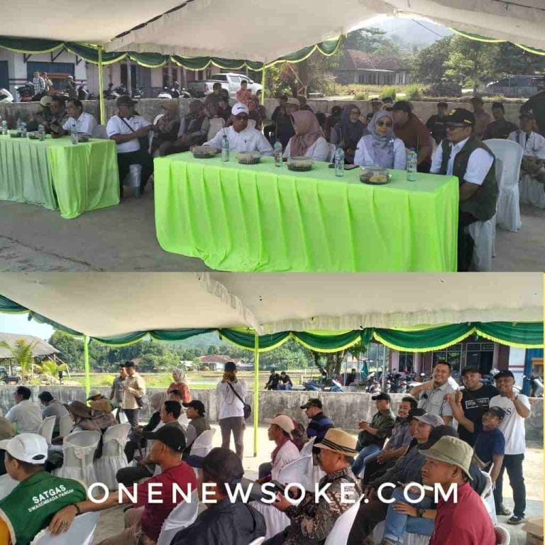 Pengembangan Pertanian Sukabumi: Tingkatkan Produktivitas Lewat Penyediaan Benih Unggul